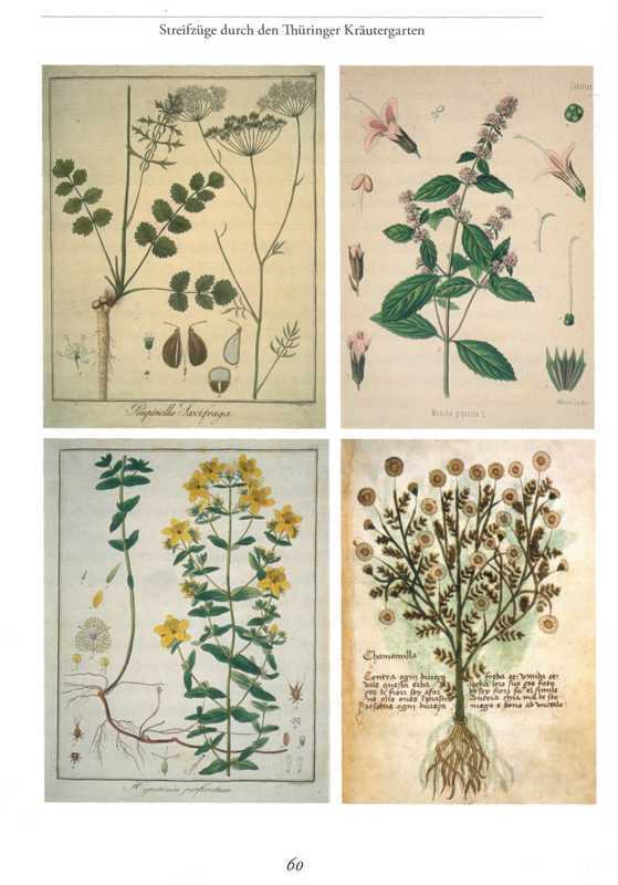 Die Abenteur der Andern